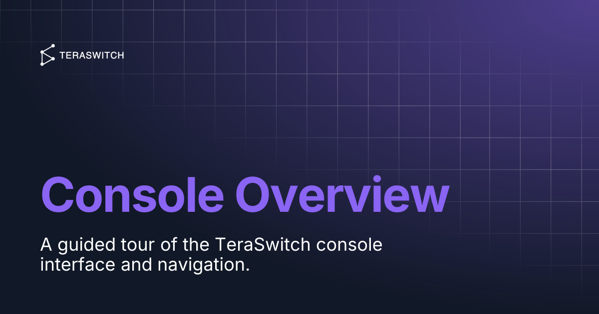 Console Overview | Teraswitch